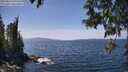 ./images/koeye/fitz-hugh/20250514/fitz-hugh20250514_140510M.jpg