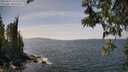 ./images/koeye/fitz-hugh/20250514/fitz-hugh20250514_142510M.jpg