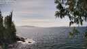 ./images/koeye/fitz-hugh/20250514/fitz-hugh20250514_151010M.jpg