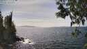 ./images/koeye/fitz-hugh/20250514/fitz-hugh20250514_151508M.jpg