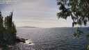 ./images/koeye/fitz-hugh/20250514/fitz-hugh20250514_152011M.jpg