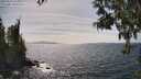 ./images/koeye/fitz-hugh/20250514/fitz-hugh20250514_153011M.jpg