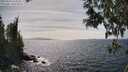 ./images/koeye/fitz-hugh/20250514/fitz-hugh20250514_153510M.jpg