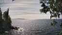 ./images/koeye/fitz-hugh/20250514/fitz-hugh20250514_154011M.jpg