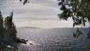 ./images/koeye/fitz-hugh/20250514/fitz-hugh20250514_154510M.jpg