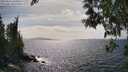 ./images/koeye/fitz-hugh/20250514/fitz-hugh20250514_160009M.jpg