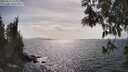 ./images/koeye/fitz-hugh/20250514/fitz-hugh20250514_162010M.jpg