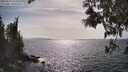 ./images/koeye/fitz-hugh/20250514/fitz-hugh20250514_163510M.jpg