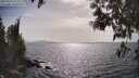 ./images/koeye/fitz-hugh/20250514/fitz-hugh20250514_164511M.jpg