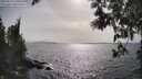 ./images/koeye/fitz-hugh/20250514/fitz-hugh20250514_170009M.jpg
