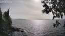 ./images/koeye/fitz-hugh/20250514/fitz-hugh20250514_171010M.jpg