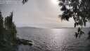 ./images/koeye/fitz-hugh/20250514/fitz-hugh20250514_173510M.jpg