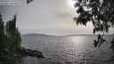 ./images/koeye/fitz-hugh/20250514/fitz-hugh20250514_175010M.jpg