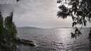 ./images/koeye/fitz-hugh/20250514/fitz-hugh20250514_181009M.jpg