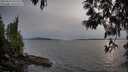 ./images/koeye/fitz-hugh/20250514/fitz-hugh20250514_193509M.jpg