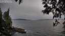 ./images/koeye/fitz-hugh/20250514/fitz-hugh20250514_194009M.jpg