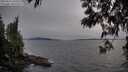 ./images/koeye/fitz-hugh/20250514/fitz-hugh20250514_194508M.jpg