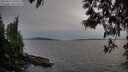 ./images/koeye/fitz-hugh/20250514/fitz-hugh20250514_200509M.jpg