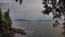 ./images/koeye/fitz-hugh/20250514/fitz-hugh20250514_202508M.jpg