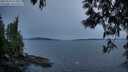 ./images/koeye/fitz-hugh/20250514/fitz-hugh20250514_212009M.jpg