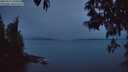 ./images/koeye/fitz-hugh/20250515/fitz-hugh20250515_050507M.jpg