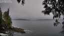 ./images/koeye/fitz-hugh/20250515/fitz-hugh20250515_060510M.jpg