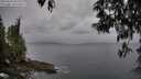 ./images/koeye/fitz-hugh/20250515/fitz-hugh20250515_063511M.jpg
