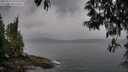 ./images/koeye/fitz-hugh/20250515/fitz-hugh20250515_070510M.jpg