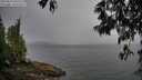 ./images/koeye/fitz-hugh/20250515/fitz-hugh20250515_095510M.jpg