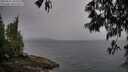 ./images/koeye/fitz-hugh/20250515/fitz-hugh20250515_103510M.jpg