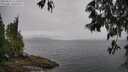 ./images/koeye/fitz-hugh/20250515/fitz-hugh20250515_111511M.jpg