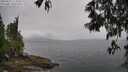 ./images/koeye/fitz-hugh/20250515/fitz-hugh20250515_112509M.jpg