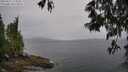 ./images/koeye/fitz-hugh/20250515/fitz-hugh20250515_114510M.jpg
