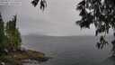 ./images/koeye/fitz-hugh/20250515/fitz-hugh20250515_115510M.jpg