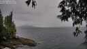 ./images/koeye/fitz-hugh/20250515/fitz-hugh20250515_120012M.jpg