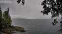 ./images/koeye/fitz-hugh/20250515/fitz-hugh20250515_120510M.jpg