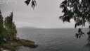 ./images/koeye/fitz-hugh/20250515/fitz-hugh20250515_121511M.jpg