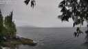 ./images/koeye/fitz-hugh/20250515/fitz-hugh20250515_122009M.jpg
