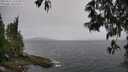 ./images/koeye/fitz-hugh/20250515/fitz-hugh20250515_122509M.jpg