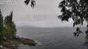 ./images/koeye/fitz-hugh/20250515/fitz-hugh20250515_123510M.jpg