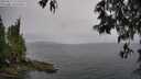 ./images/koeye/fitz-hugh/20250515/fitz-hugh20250515_125510M.jpg