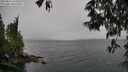 ./images/koeye/fitz-hugh/20250515/fitz-hugh20250515_143510M.jpg