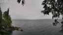 ./images/koeye/fitz-hugh/20250515/fitz-hugh20250515_144011M.jpg