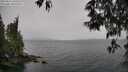 ./images/koeye/fitz-hugh/20250515/fitz-hugh20250515_144511M.jpg