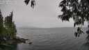 ./images/koeye/fitz-hugh/20250515/fitz-hugh20250515_145011M.jpg