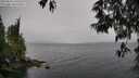 ./images/koeye/fitz-hugh/20250515/fitz-hugh20250515_145509M.jpg