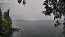 ./images/koeye/fitz-hugh/20250515/fitz-hugh20250515_155509M.jpg