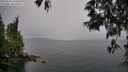 ./images/koeye/fitz-hugh/20250515/fitz-hugh20250515_160510M.jpg
