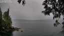 ./images/koeye/fitz-hugh/20250515/fitz-hugh20250515_164509M.jpg