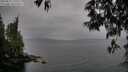 ./images/koeye/fitz-hugh/20250515/fitz-hugh20250515_170508M.jpg